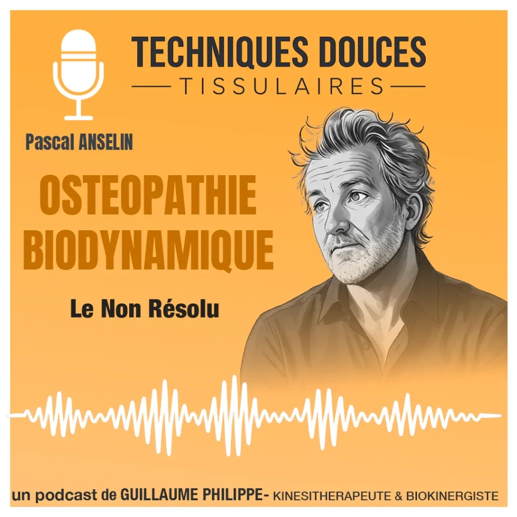 Approche du non-résolu - Pascal Anselin